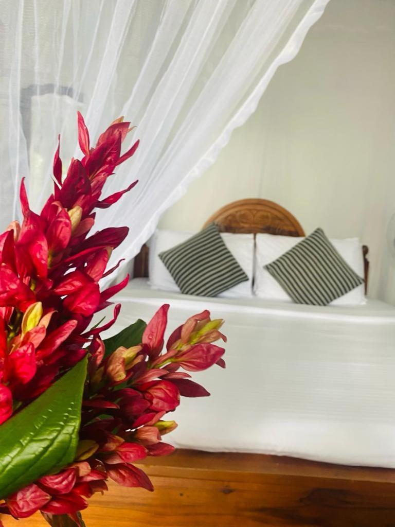Hidden Gem Inn Ella Ngoại thất bức ảnh