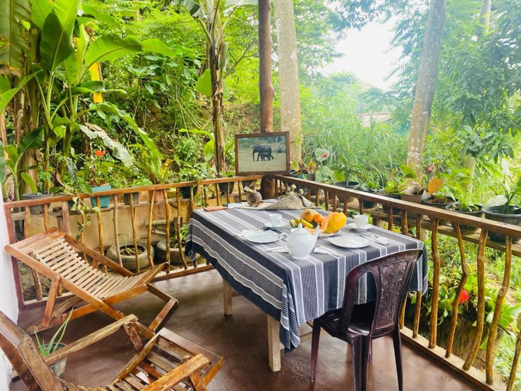 Hidden Gem Inn Ella Ngoại thất bức ảnh