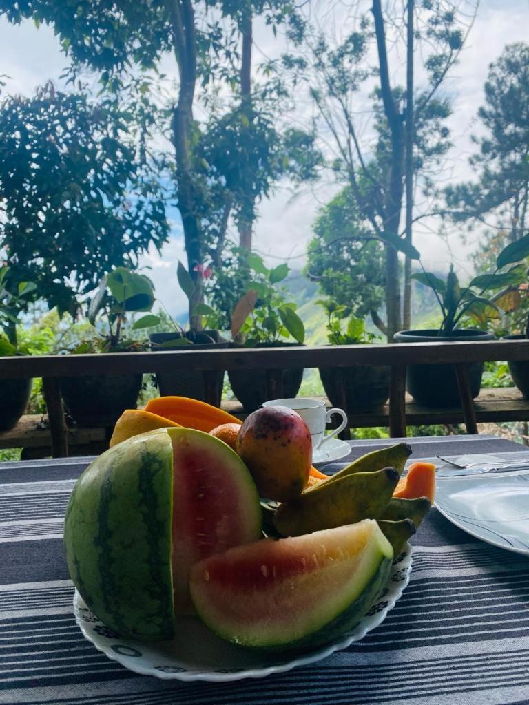 Hidden Gem Inn Ella Ngoại thất bức ảnh