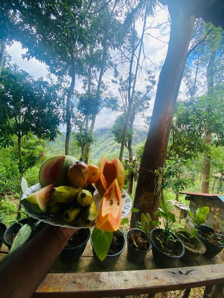Hidden Gem Inn Ella Ngoại thất bức ảnh