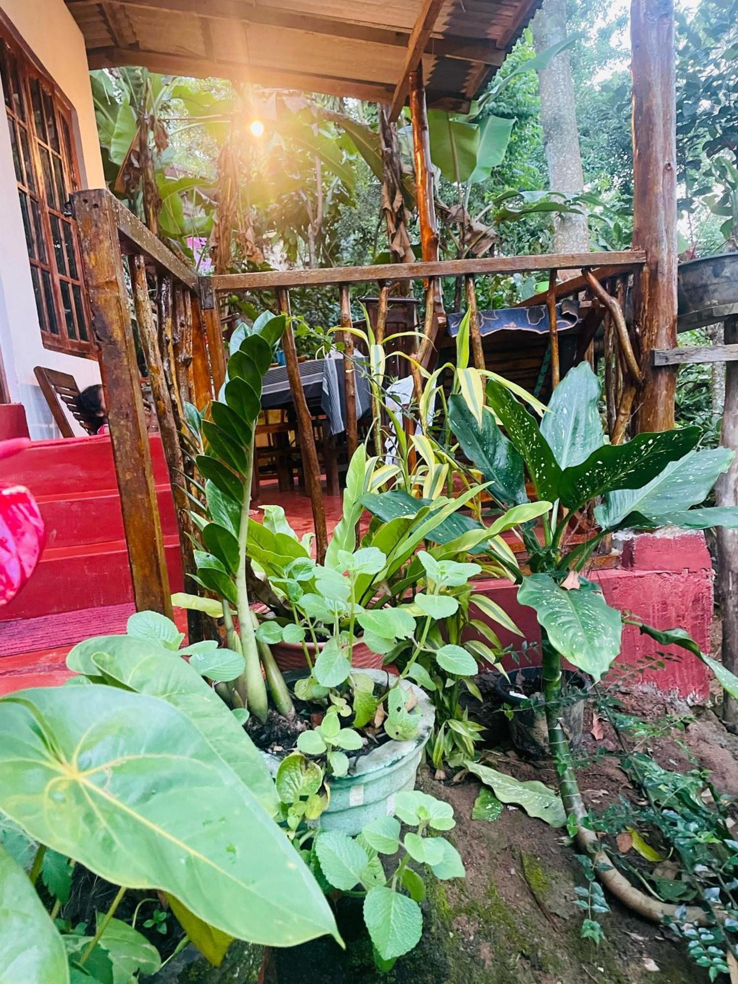 Hidden Gem Inn Ella Ngoại thất bức ảnh