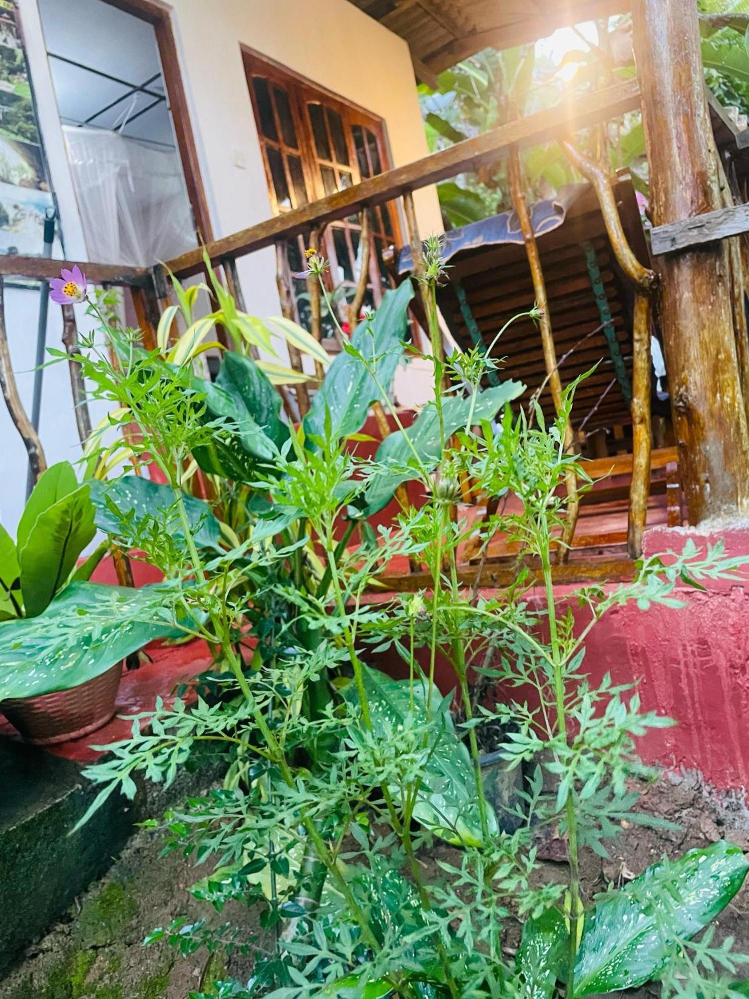 Hidden Gem Inn Ella Ngoại thất bức ảnh