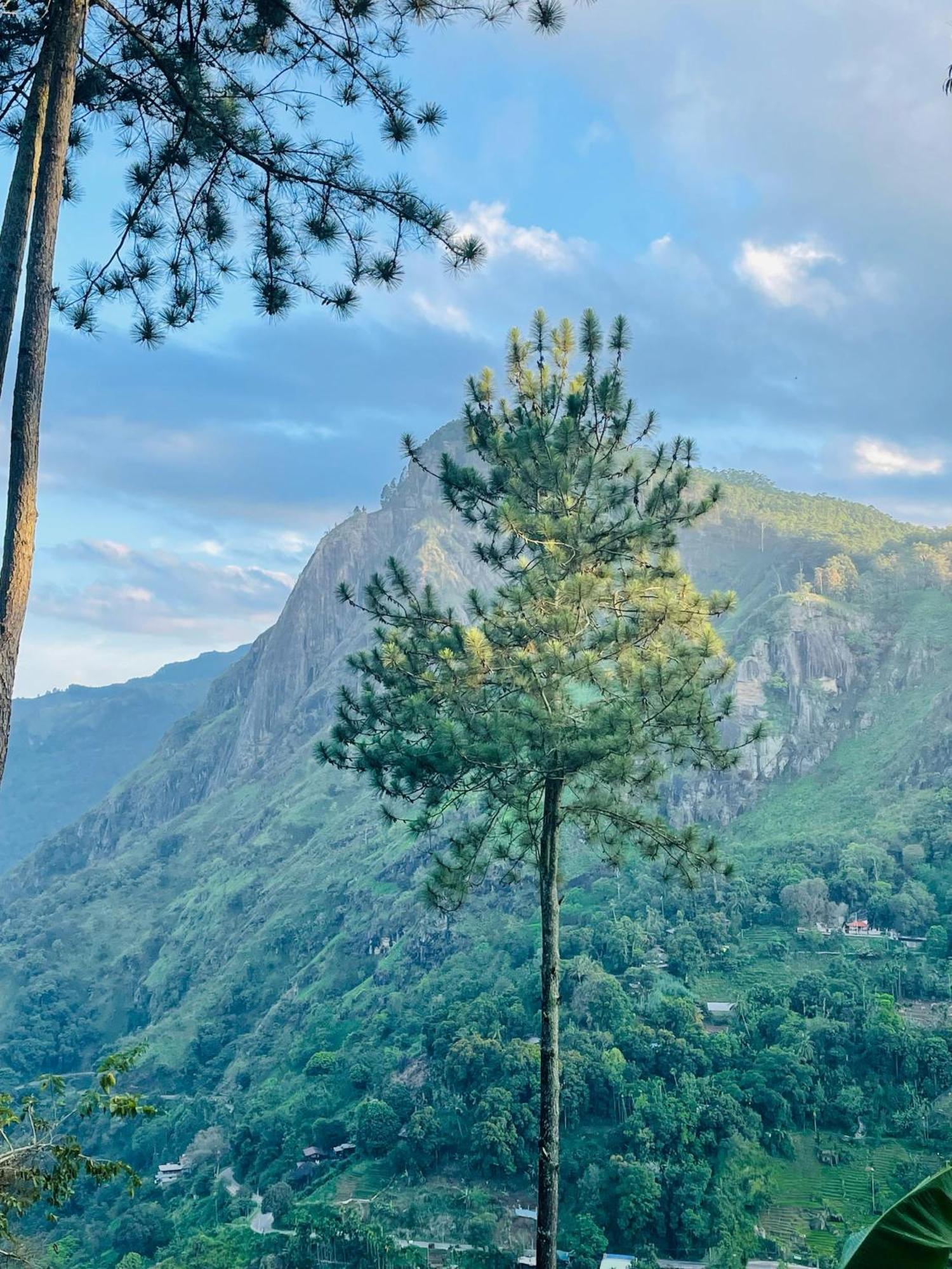 Hidden Gem Inn Ella Ngoại thất bức ảnh