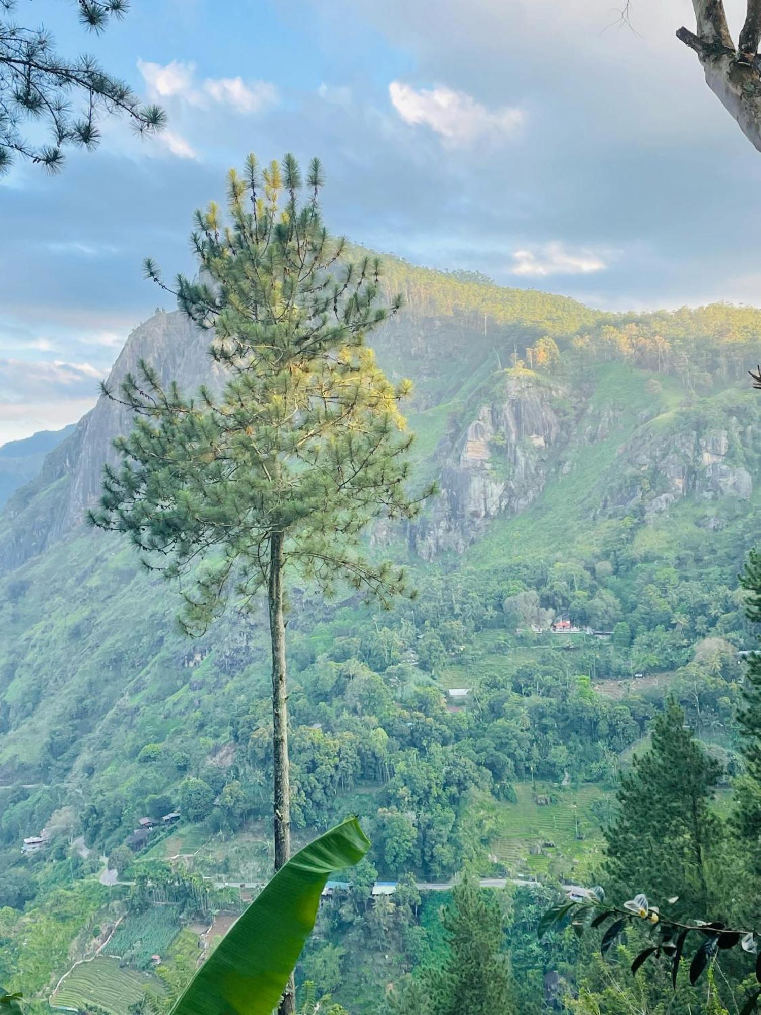 Hidden Gem Inn Ella Ngoại thất bức ảnh