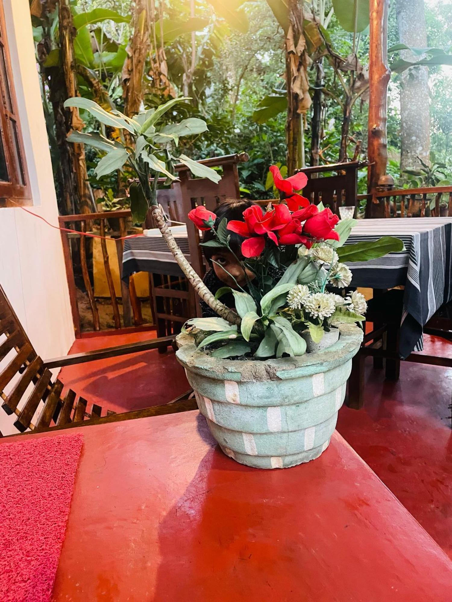 Hidden Gem Inn Ella Ngoại thất bức ảnh