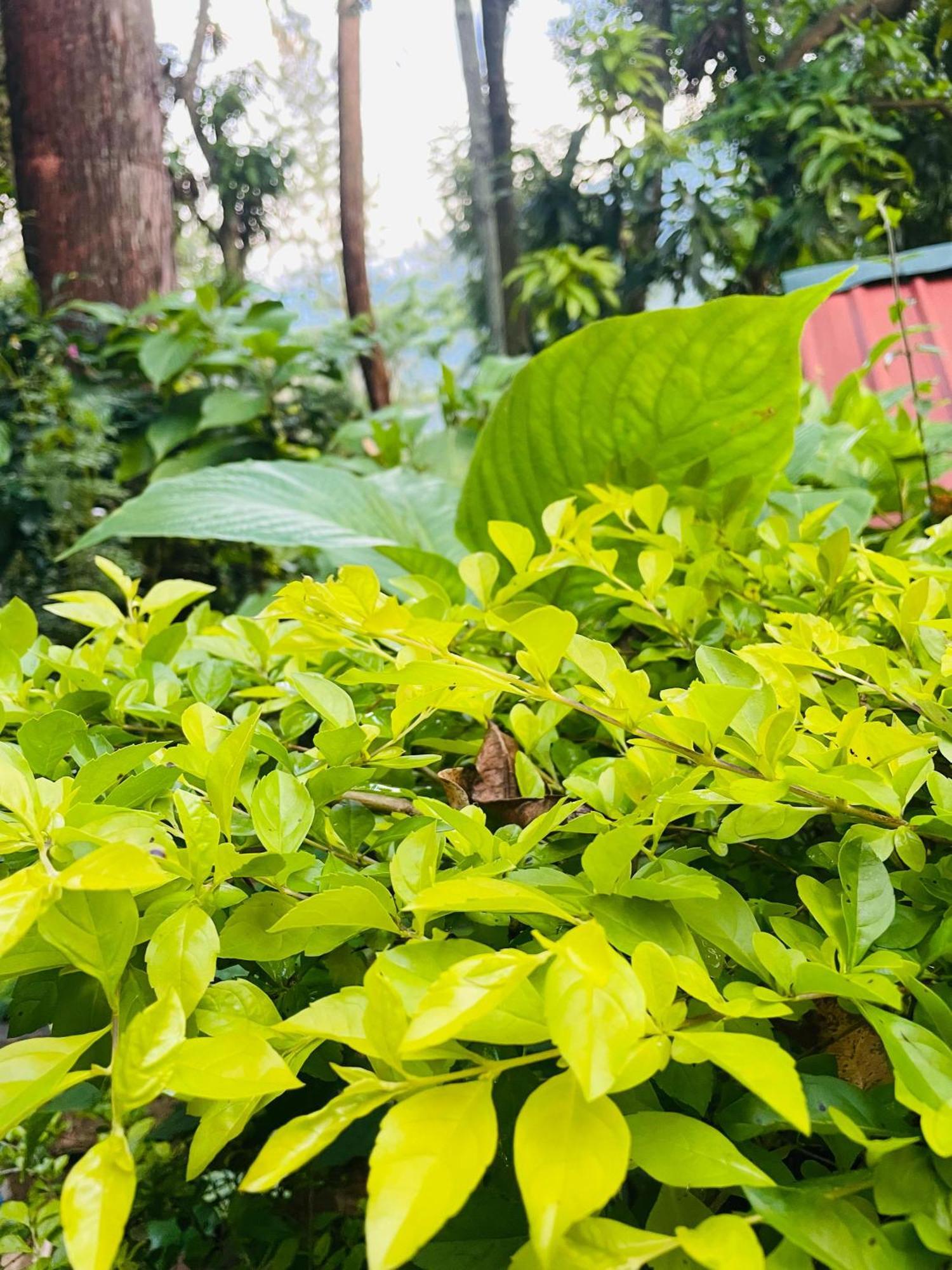Hidden Gem Inn Ella Ngoại thất bức ảnh