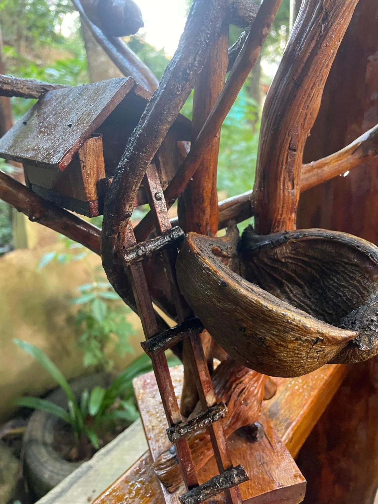 Hidden Gem Inn Ella Ngoại thất bức ảnh